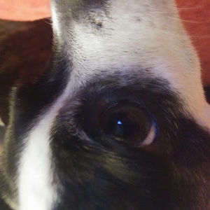 Meet your Posher, Kenna